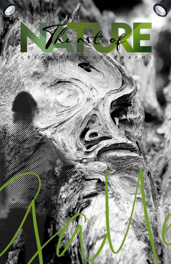 the Fanery Mobile Header, The Art of Nature