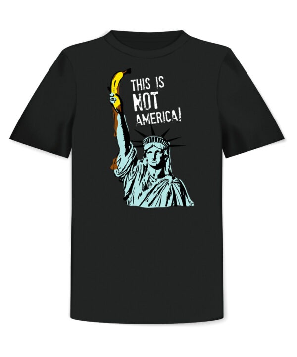 thefanery This is not Amerika T-Shirt Front Black